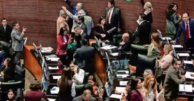 Reforma electoral contra candidaturas ligadas al crimen