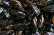 Alertan por riesgo de intoxicaci�n al consumir mariscos recolectados de forma recreativa