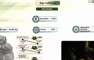 Reconocen a Baja California en conferencia presidencial por resultados en seguridad