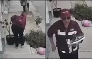 Captan a brigadista de Morena robando una planta en Sinaloa