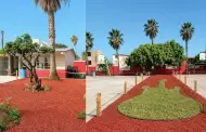 Renueva Naci�n Verde entornos escolares de Tijuana con soluciones basadas en la naturaleza