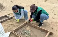 M�s de 22 mil 800 colillas de cigarro recolectadas en Playa Conalep