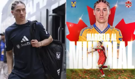 Marcelo Flores