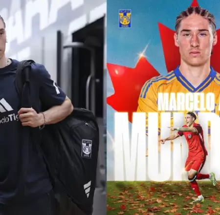 Marcelo Flores