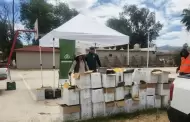 Re�nen Gobierno de Ensenada, Comit� Provino y Camrec m�s de 4.8 toneladas de vidrio en mega colecta en El Porvenir