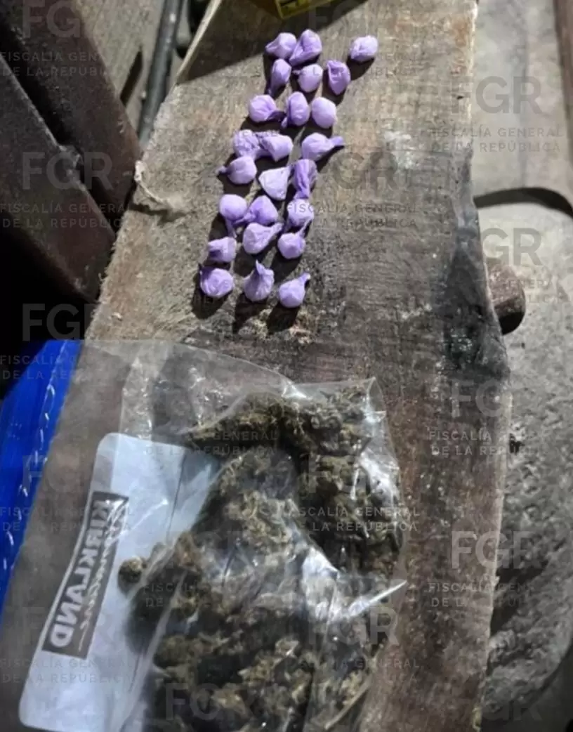 Excavaci�n tipo t�nel subterr�neo es localizada por elementos de la FGR en Tijuana
