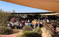 Arranca con �xito Vi�adas 2026 y refuerza la promoci�n del Valle de Guadalupe