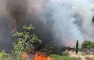 Rescatan a mujer durante incendio en apartamento de Ciudad Jard�n