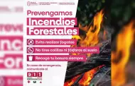 Llama Protecci�n Civil Baja California a redoblar esfuerzos ante la temporada de incendios