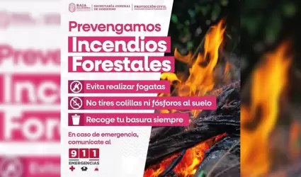 Temporada de incendios