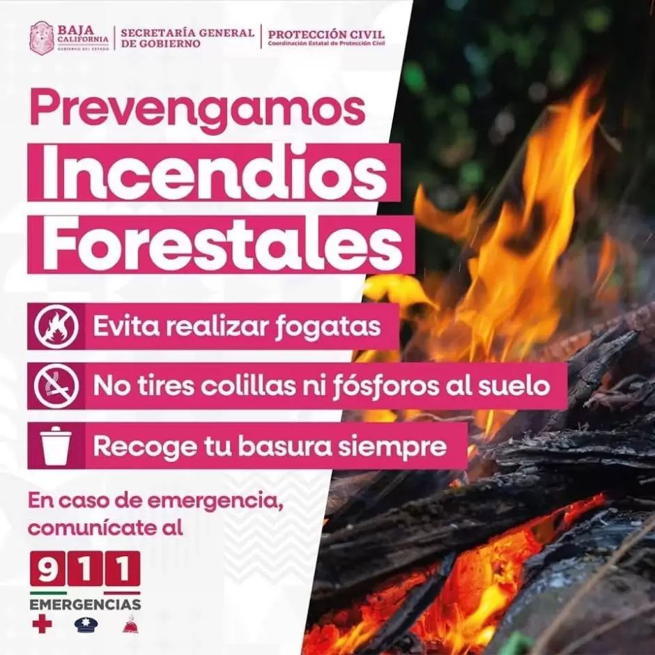 Temporada de incendios
