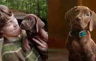 Estrenan primer adelanto de la serie "Scooby-Doo: El origen"