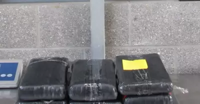 CBP decomisa fentanilo, coca�na y metanfetamina en cruces de San Ysidro y Calexi