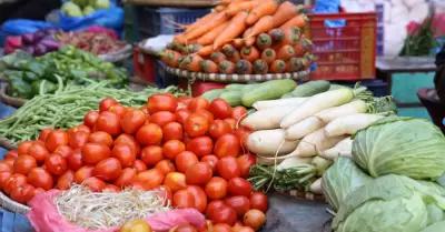 alimentos crudos
