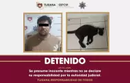 Detiene Polic�a Municipal a hombre por presunto maltrato y crueldad animal en la colonia Insurgentes
