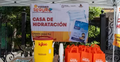 Campa�a Verano Seguro