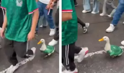 Merl�n, el pato mundialista.