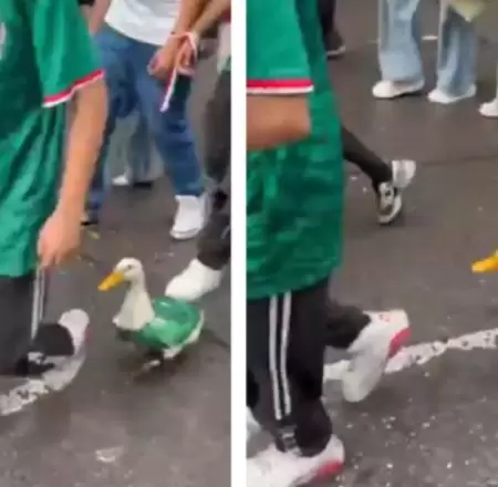 Merl�n, el pato mundialista.