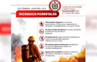 Atiende Bomberos de Ensenada incendio forestal en San Jos� de la Zorra; Claudia Agat�n llama a reforzar la prevenci�n