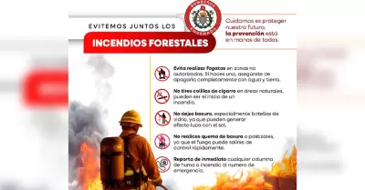 Atiende Bomberos de Ensenada incendio forestal en San Jos� de la Zorra