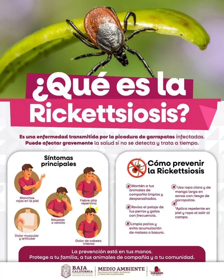 Prevenci�n de la Rickettsiosis en Baja California