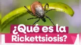 Prevenci�n de la Rickettsiosis en Baja California