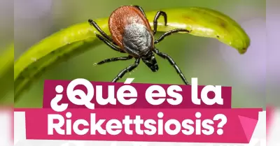 Prevenci�n de la Rickettsiosis en Baja California