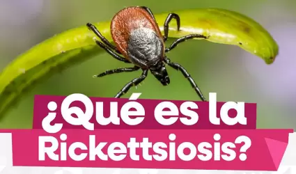 Prevenci�n de la Rickettsiosis en Baja California