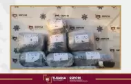 Asegura Polic�a Municipal m�s de 29 kilos de presunta marihuana abandonados en Playas de Tijuana