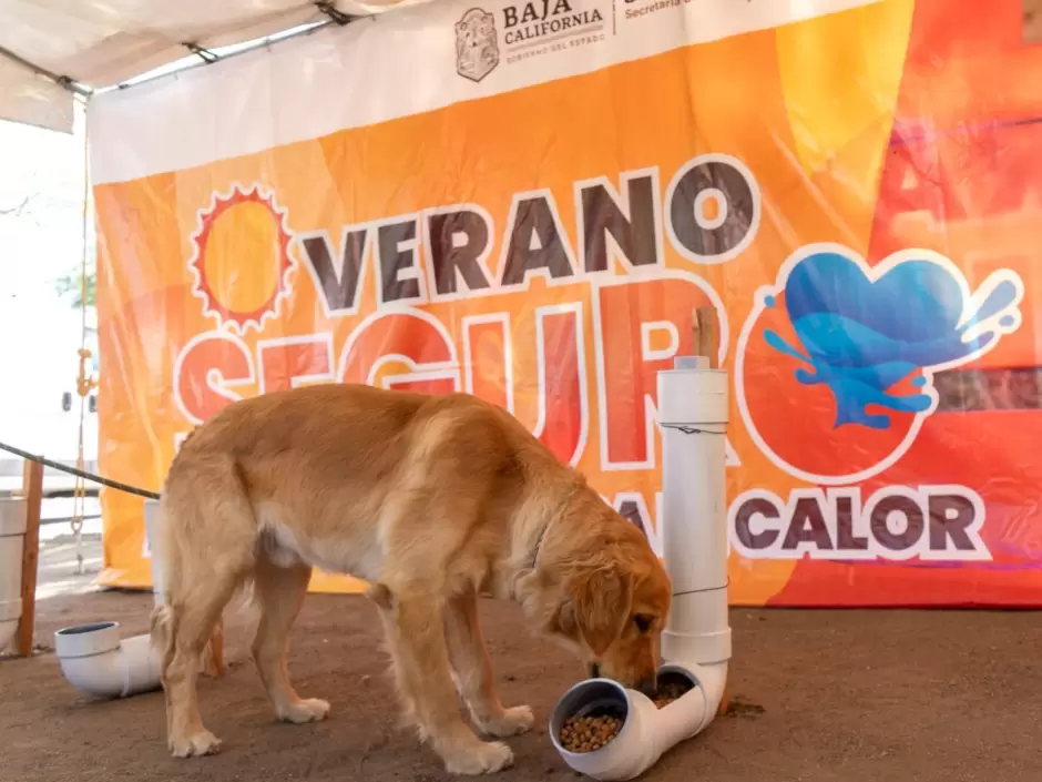 Campaña Verano Seguro