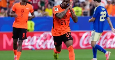 Pa�ses Bajos derrot� a Suecia