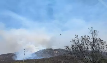 Vigilancia ante incendios forestales activos