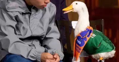 El pato Merlin fue invitado por la presidenta a la conferencia ma�anera