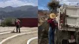 Acciones de limpieza y mantenimiento en Montemar