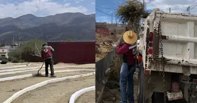 Acciones de limpieza y mantenimiento en Montemar