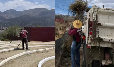 Acciones de limpieza y mantenimiento en Montemar