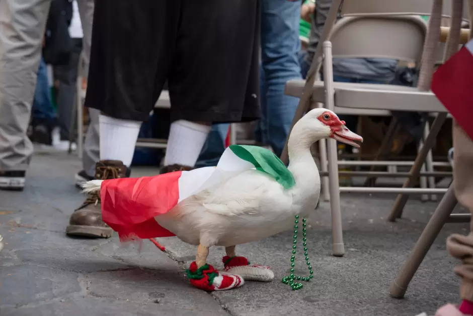 Baja California celebra triunfo de M�xico ante Chequia en el Baja Fut Fest