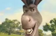 DreamWorks confirma pel�cula de Burro para junio de 2028