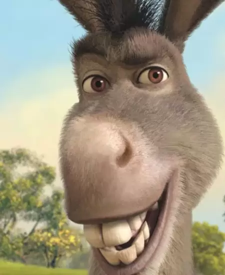 Burro