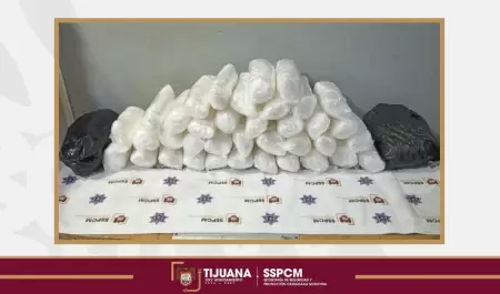 Realiza SSPCM hallazgo de m�s de 17 kilos de droga en caso de 'mula ciega'