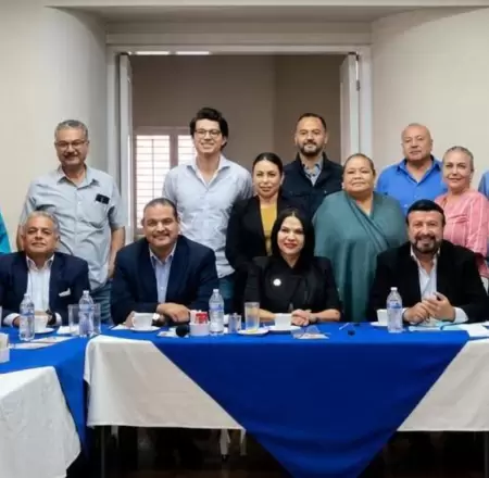 Diputada local por el PAN, Alejandrina Corral Quintero