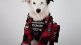 Tsunami