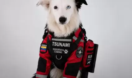 Tsunami