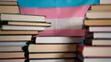 Literaturas LGBT+ de M�xico