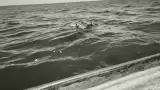 Cuerpos flotando en el mar