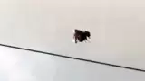 Captan misterioso objeto en el cielo de Ecuador