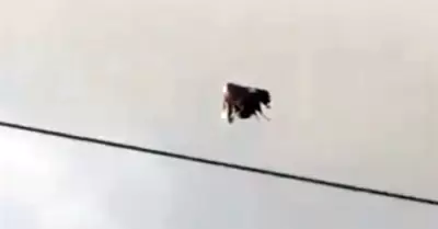 Captan misterioso objeto en el cielo de Ecuador