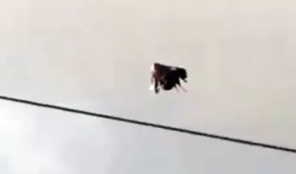 Captan misterioso objeto en el cielo de Ecuador