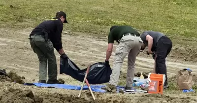 Investigan refugio de California tras hallar restos de al menos 117 perros con h