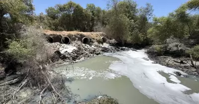 contaminaci�n r�o Tijuana